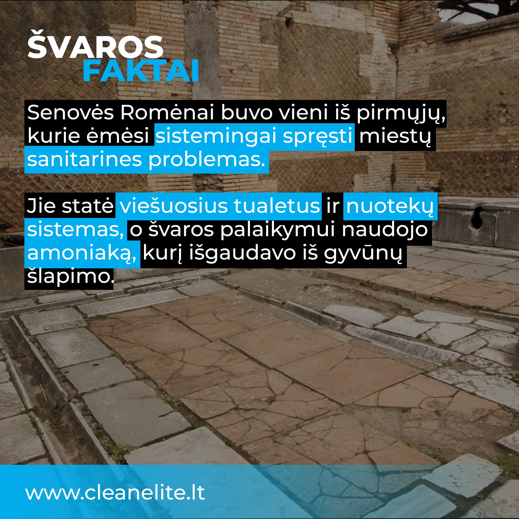 CleanElite socialinis įrašas 3