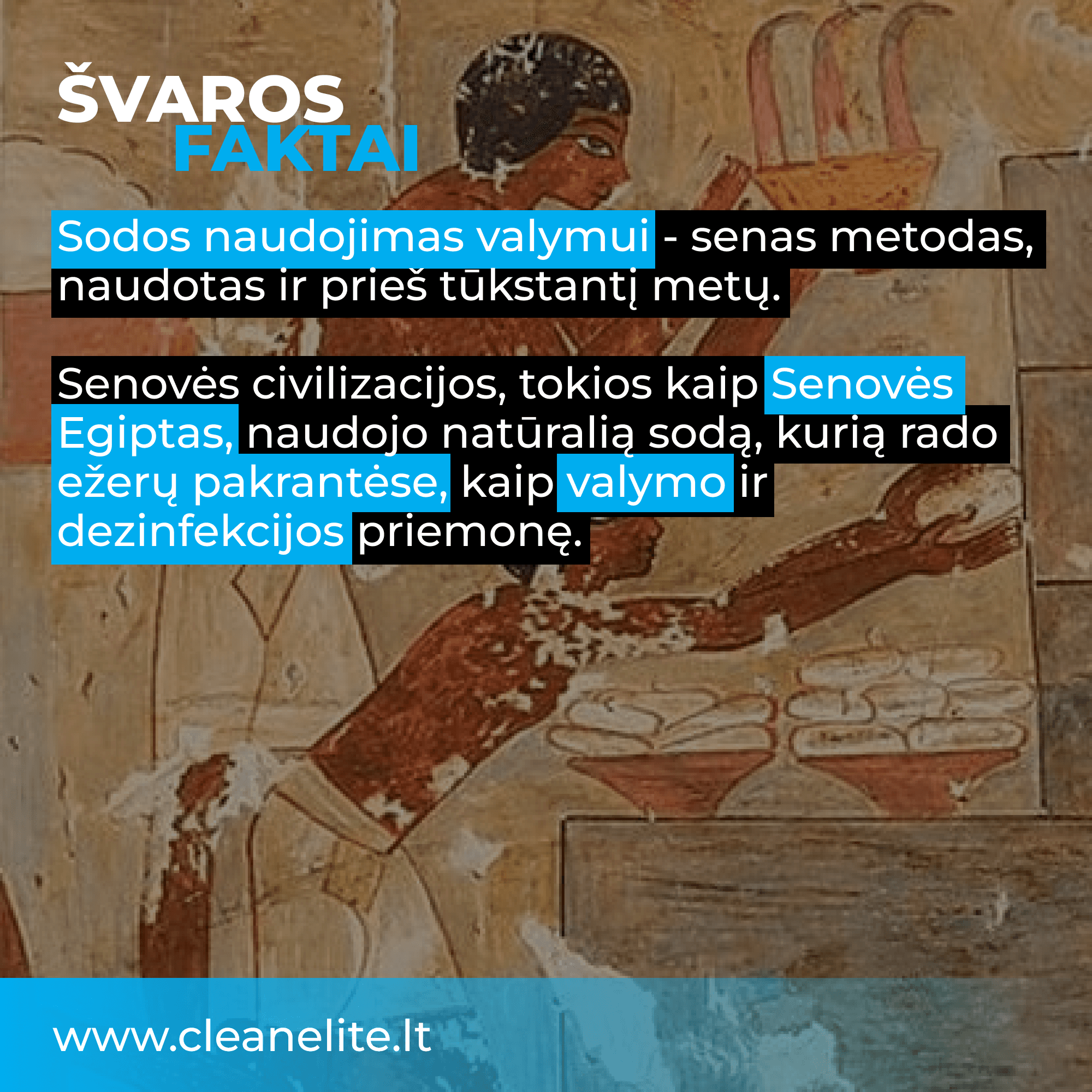 CleanElite socialinis įrašas 6